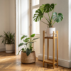 Plantenstandaard van bamboe, 40 cm Plantenstandaard van bamboe, 40 cm - Cazero